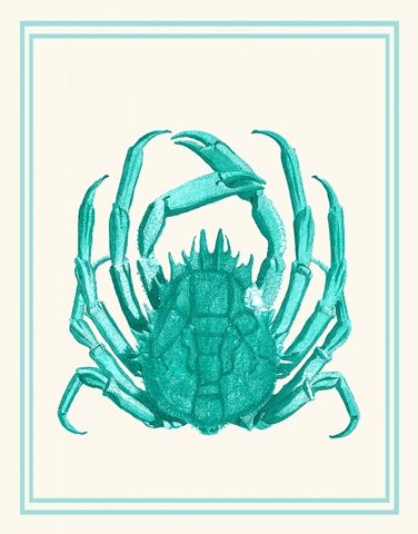 Mixed Nautical Turquoise on Cream b