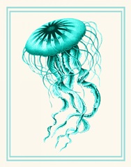 Mixed Nautical Turquoise on Cream c