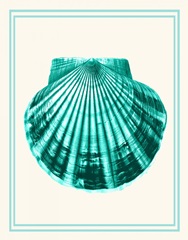 Mixed Nautical Turquoise on Cream d