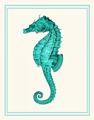 Mixed Nautical Turquoise on Cream e