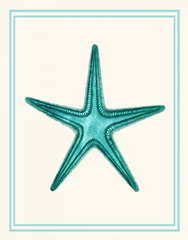 Mixed Nautical Turquoise on Cream f