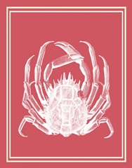 Mixed Nautical White on Coral a