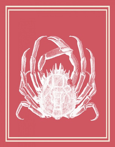 Mixed Nautical White on Coral a