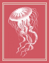 Mixed Nautical White on Coral b