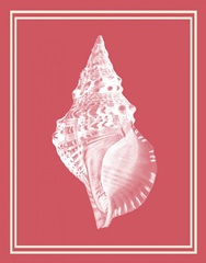 Mixed Nautical White on Coral d