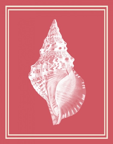 Mixed Nautical White on Coral d