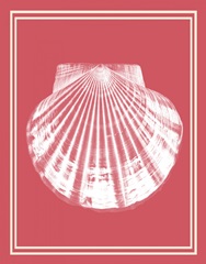 Mixed Nautical White on Coral e