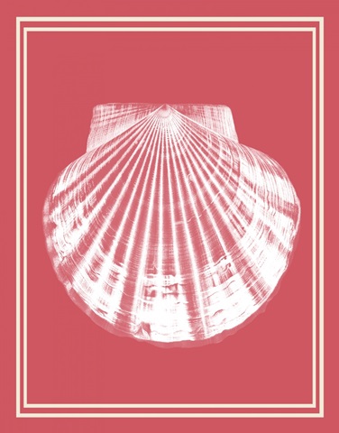 Mixed Nautical White on Coral e