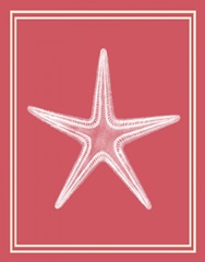 Mixed Nautical White on Coral f