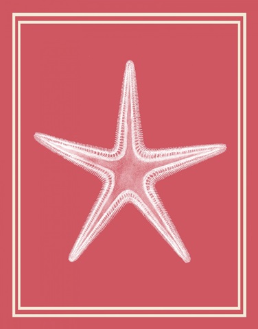 Mixed Nautical White on Coral f