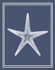 Mixed Nautical White on Indigo Blue a