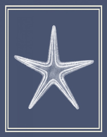 Mixed Nautical White on Indigo Blue a