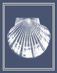 Mixed Nautical White on Indigo Blue b