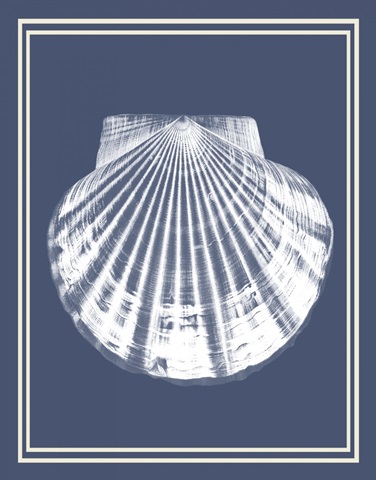 Mixed Nautical White on Indigo Blue b