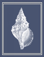 Mixed Nautical White on Indigo Blue c