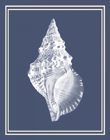 Mixed Nautical White on Indigo Blue c