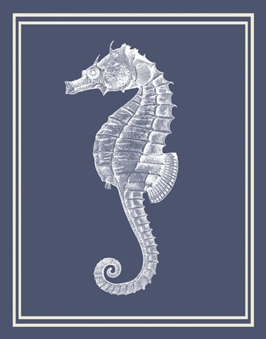 Mixed Nautical White on Indigo Blue d