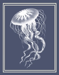 Mixed Nautical White on Indigo Blue e