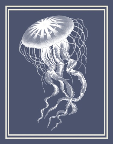 Mixed Nautical White on Indigo Blue e