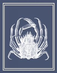 Mixed Nautical White on Indigo Blue f