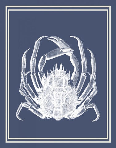 Mixed Nautical White on Indigo Blue f