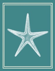 Mixed Nautical White on Teal a