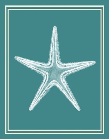 Mixed Nautical White on Teal a