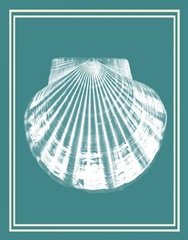 Mixed Nautical White on Teal b