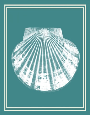 Mixed Nautical White on Teal b