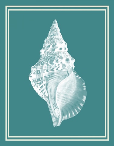 Mixed Nautical White on Teal c