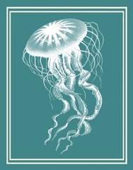 Mixed Nautical White on Teal e