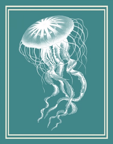 Mixed Nautical White on Teal e