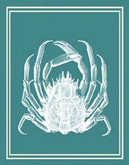 Mixed Nautical White on Teal f