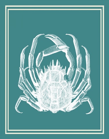 Mixed Nautical White on Teal f