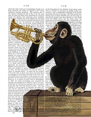 Monkey Playing Trumpet