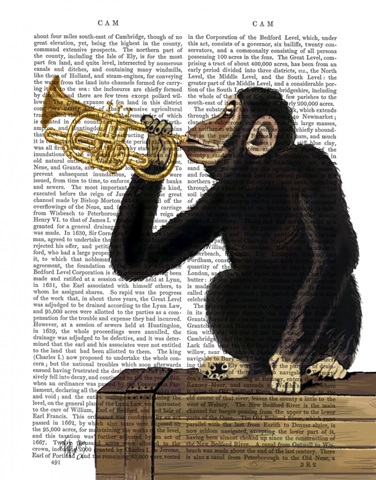 Monkey Playing Trumpet