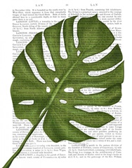 Monstera Leaf 1, Green on White