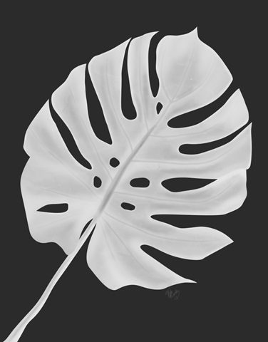 Monstera Leaf 1, White On Black