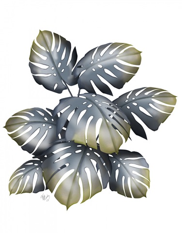 Monstera Plant, Grey and Gold
