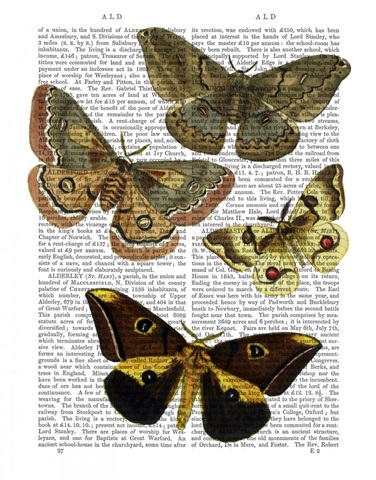 Moth Plate 3