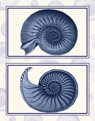 Nautilus Shells Indigo Blue