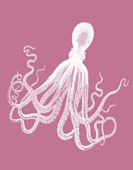 Octopus 1 White on Pink