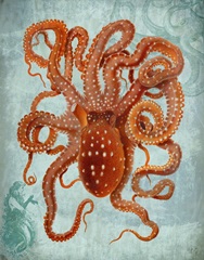 Octopus 2