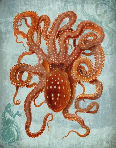 Octopus 2