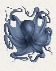 Octopus 5