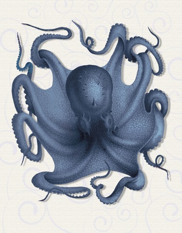 Octopus 5