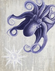 Octopus 7