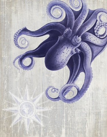 Octopus 7