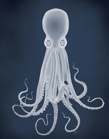 Octopus 8, White on Blue