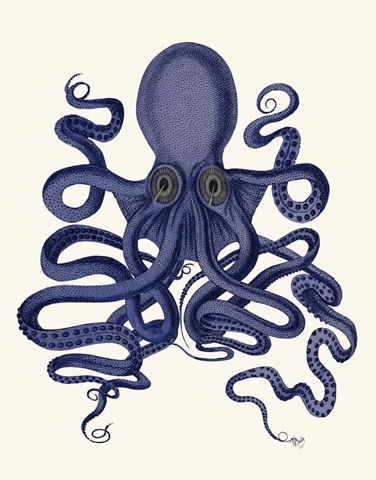 Octopus 9, Blue